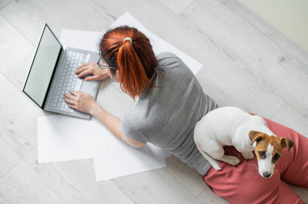 A European red-haired woman is lying on the floor with her dog and is typing on a laptop. Female student studying remotely at home in quarantine. A loyal puppy Jack Russell Terrier. Exam preparation. - Photo, Image