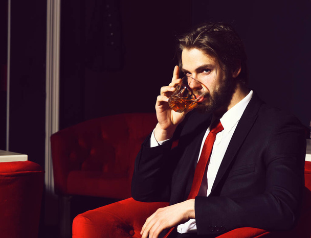 bearded man, businessman holding glass of whiskey in red chair - Foto, immagini