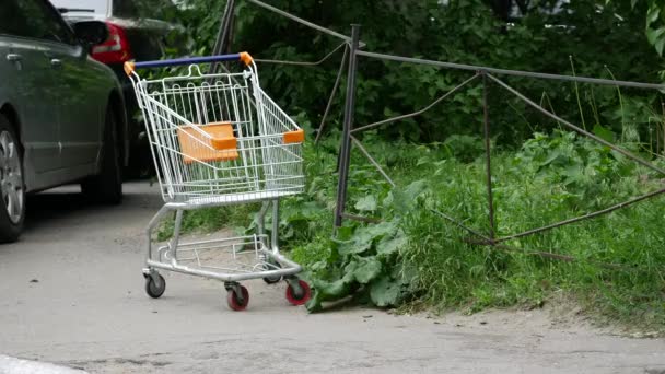 Opuszczony stojący wózek z supermarketu. Zielone drzewo i trawnik. Pusta - Materiał filmowy, wideo