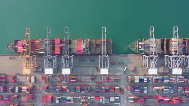 Bロール航空ビューポートインポートビジネスロジスティクスのコンテナ貨物積載船。海運業の物流。貿易港と港への輸送貨物。シームレスな輸送サプライチェーン - 映像、動画