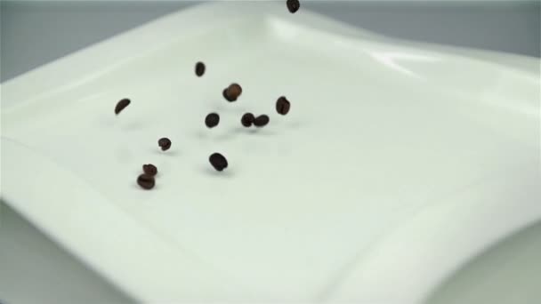 Semillas de café cayendo en un plato blanco y saltando en cámara lenta
 - Imágenes, Vídeo