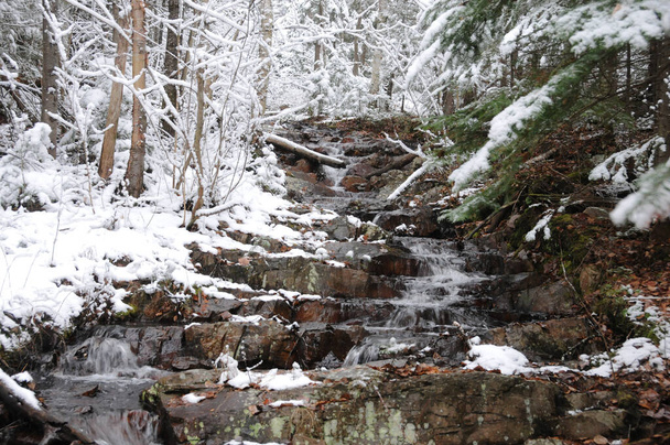 Winter stream flow surrounded by covered trees of snow and rocks displaying its white blanket on the stream. - Foto, Imagem
