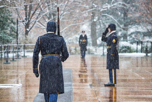 Grób Nieznanego Żołnierza znajduje się na wzgórzu na Cmentarzu Narodowym w Arlington. - Zdjęcie, obraz