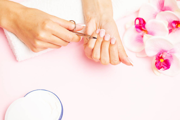 Beautiful woman hands with fresh french manicure - Photo, Image