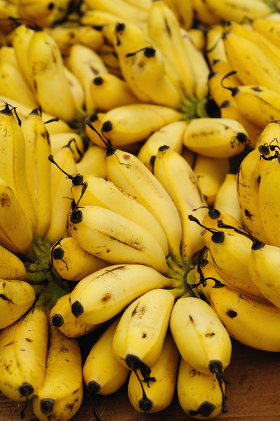 Bananes fraîches
 - Photo, image