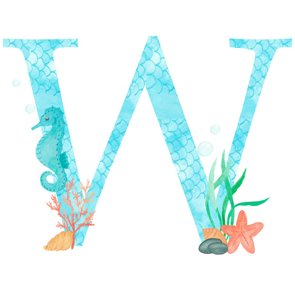 English alphabet Letter W Monogram with watercolor marine design - seahorse seaweed coral starfish. Isolated on white background Hand painting illustration. Font for design greeting cards and other. - Photo, Image