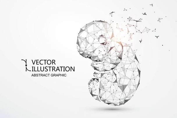 Artificial nurtured bionic fetuses, points and lines connected, vector illustration. - Vector, Image