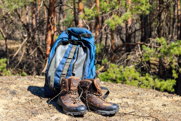 Туристический рюкзак и пешие сапоги на поляне в сосновом лесу. Концепция похода
 - Фото, изображение