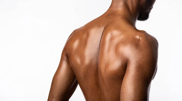 Unrecognizable Black Bodybuilder Posing Back To Camera In Studio, Panorama - Photo, Image
