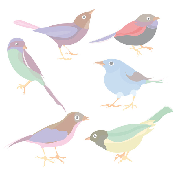 Set of cute vector birds - Vecteur, image