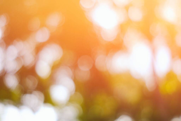 Abstract Luxury Natural Bokeh Background with Light Leak. - Photo, image