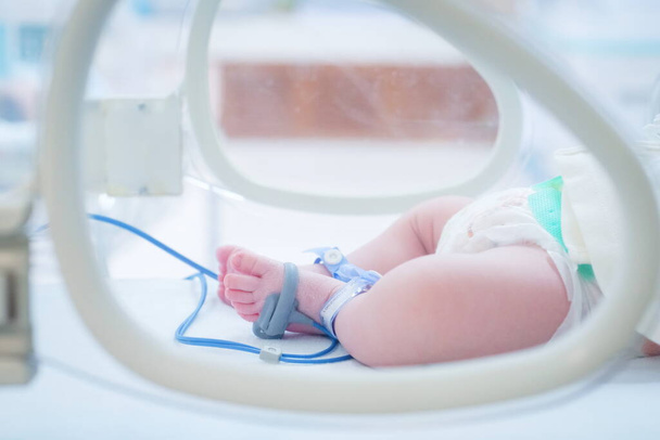 Bebé recién nacido pies dentro de la incubadora en la sala de post parto del hospital con nombre de la etiqueta pulsera de identificación
. - Foto, imagen