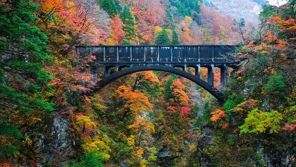 Krásný výhled na staré mosty a horskou řeku cestovat ve vlaku do Kurobe rokle během podzimní sezóny, Toyama, Japonsko, listí změna barvy. - Fotografie, Obrázek