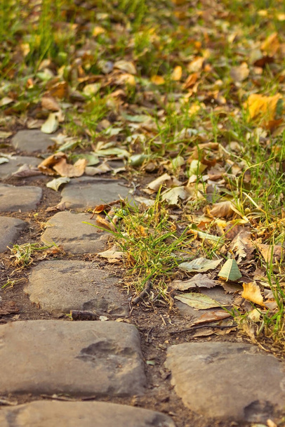 Het pad in het park is omzoomd met grote stenen. Vlakbij het groene gras, geel gevallen bladeren. De eerste dagen van de herfst. Zacht zonlicht. - Foto, afbeelding