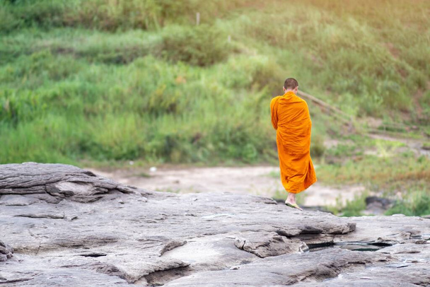 Takaisin näkymä Aasian munkki seisoo luonnon taustalla  - Valokuva, kuva