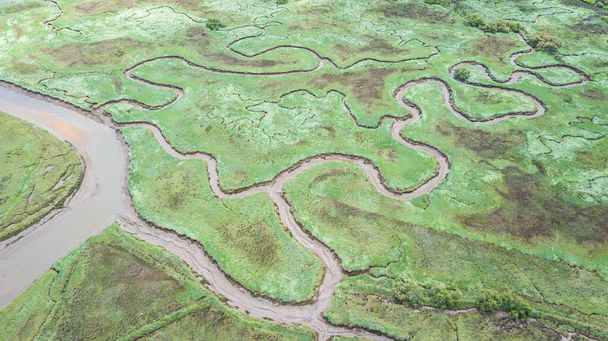 aerial view of marshland shapes - Photo, Image