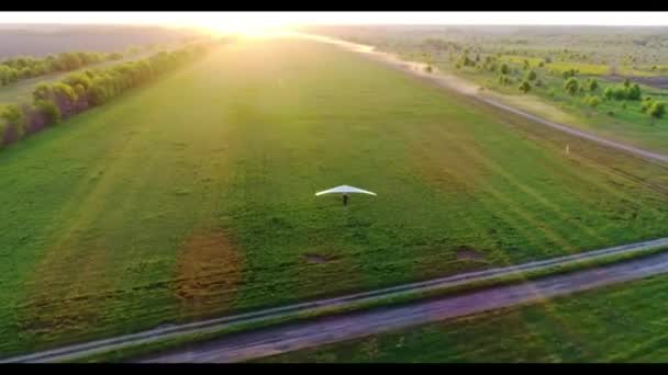 Voo de asa delta em tempo do por do sol sobre campos frescos verdes e amarelos da mola. Vista aérea superior. Tomado com drone. - Filmagem, Vídeo