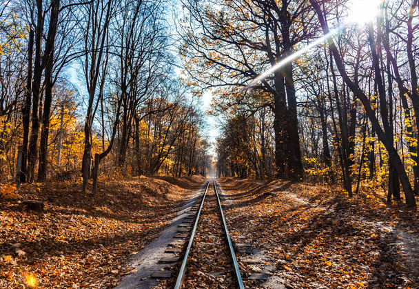 Kolejowy pojedynczy tor przez las jesienią. Jesienny krajobraz. - Zdjęcie, obraz
