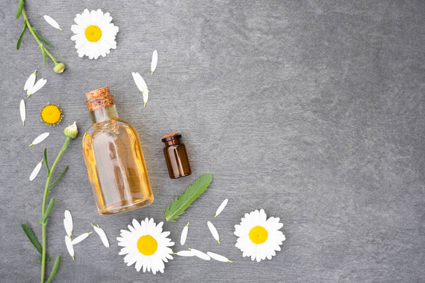 Chamomile flower essential oil or aromatherapy oil product in the bottle and blooming flowers on gray background with copy space. - Foto, Imagem