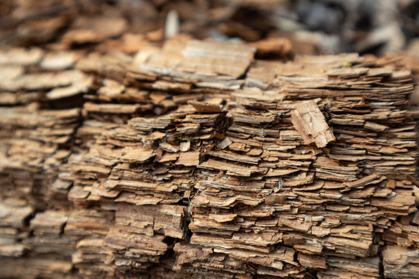 Drzewo strzępione wióry makro zamknąć drewniane tekstury. Brown szczegółowy materiał naturalny makro stary przemysł drzewny - Zdjęcie, obraz