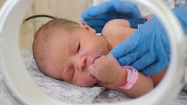 Новонароджена дитина плаче на місці реанімації сучасної пологової клініки. Жінка-лікар руки дають соску дитині, щоб заспокоїтися швидко і часто дихати впритул. 4k відео
 - Кадри, відео