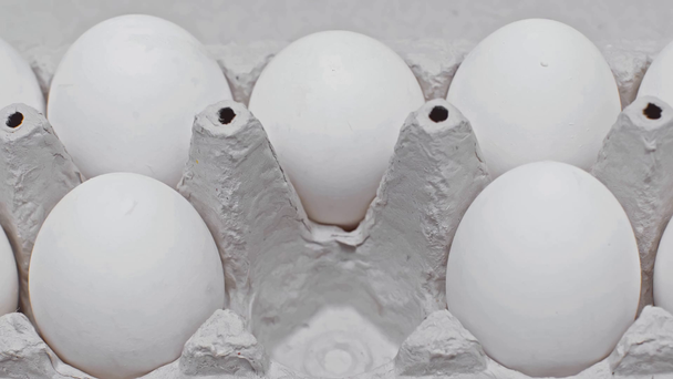 Προβολή από κοντά του ανθρώπου που παίρνει και βάζει αυγό σε χαρτόκουτο  - Πλάνα, βίντεο