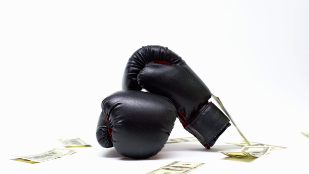 dolary padající blízko boxerských rukavic na bílém, koncept online sázení  - Záběry, video