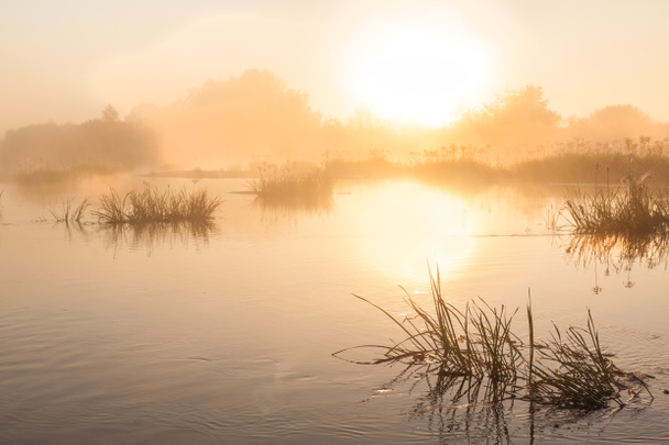 Mglisty wschód słońca nad rzeką Teterev na Polesiu w letni poranek - Zdjęcie, obraz