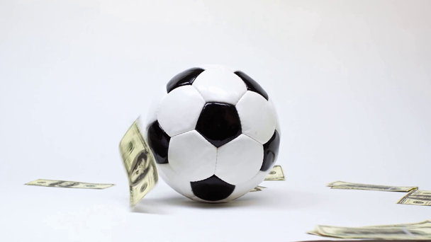 Dollar fallen in der Nähe von Fußball auf weiß, Online-Wetten-Konzept  - Filmmaterial, Video