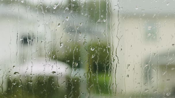 Vista de gotas de lluvia corriendo sobre vidrio de ventana. Hermosa naturaleza fondos. - Metraje, vídeo