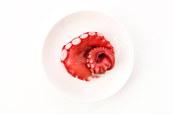 boiled octopus leg on a white plate - Photo, Image