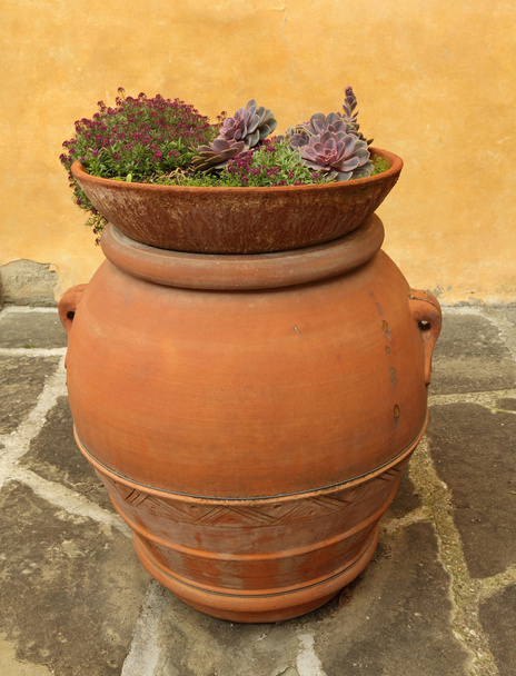 Tuscan plant container - Photo, Image