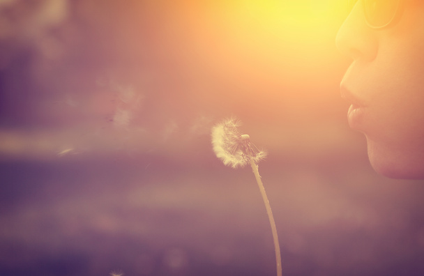 Винтажный одуванчик с голубым небом и солнечной вспышкой
 - Фото, изображение