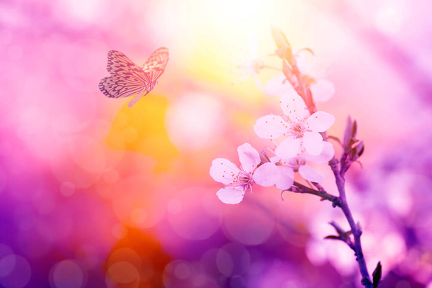 Foto vintage de flores de borboleta e árvore
 - Foto, Imagem