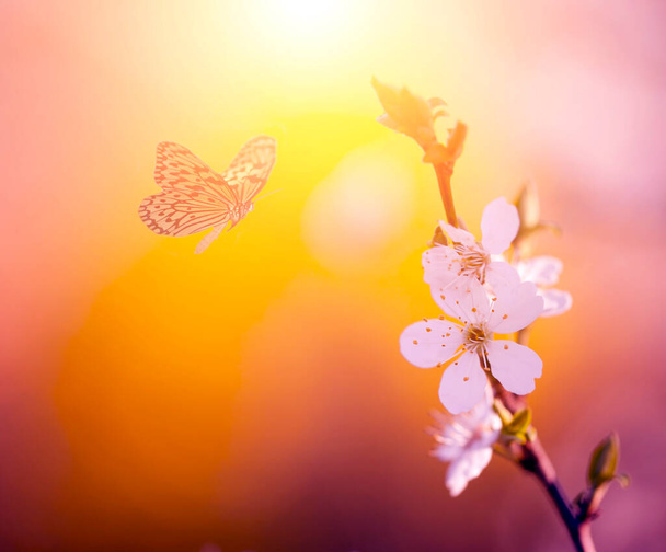 Foto vintage de flores de borboleta e árvore
 - Foto, Imagem