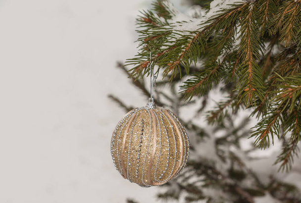 Bola de Navidad en un árbol cubierto de nieve en el patio. Producción en masa
 - Foto, imagen