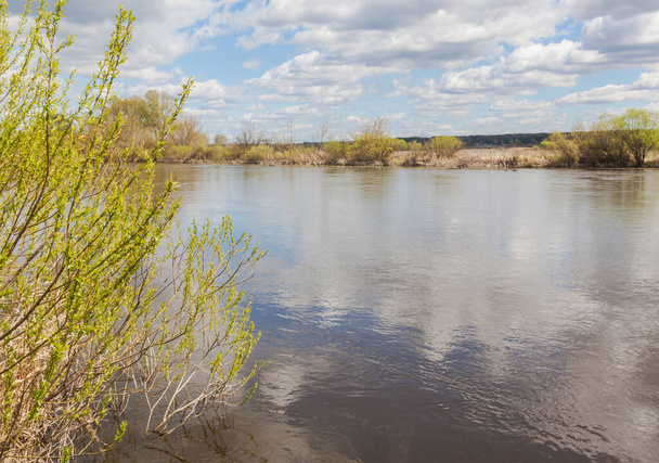 春にウクライナのポレシでテテレフ川の洪水 - 写真・画像