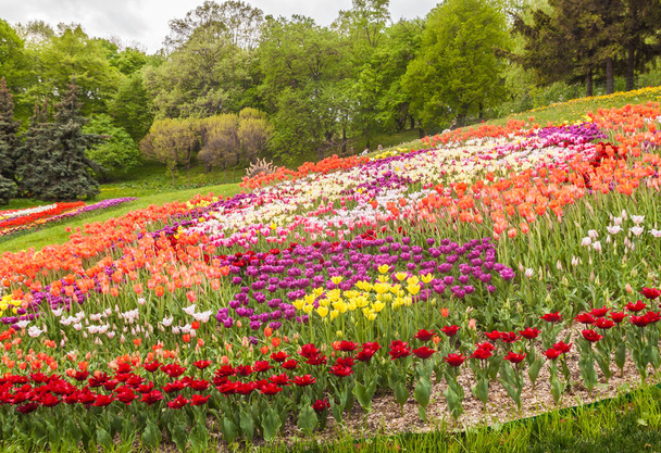 KIEV, UCRÂNIA - ABR 29: De 13 de abril a 10 de maio de 2017 em "Spevoche pole" em Kiev abriu a exposição de flores, festival de tulipas "Mistério de Ovos de Páscoa" é usado 200 mil tulipas em Kiev, Ucrânia
 - Foto, Imagem