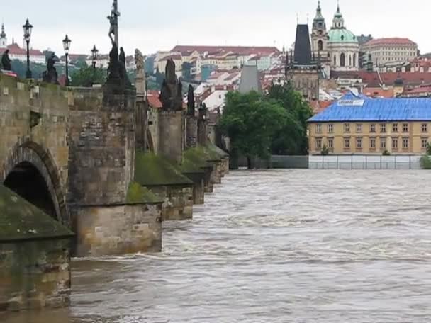 enorme regenval veroorzaakt overstromingen in Praag - Tsjechische Republiek. Charles bridge op de achtergrond. - Video