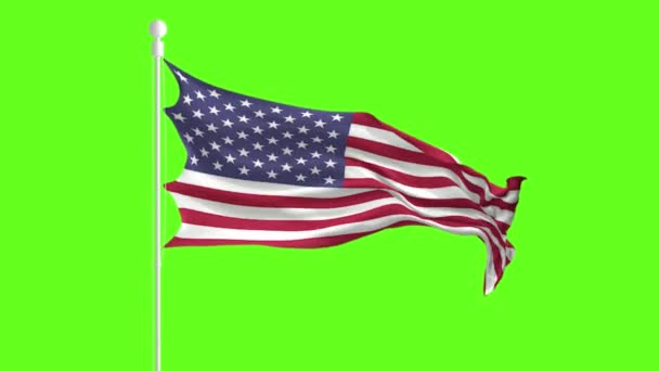 United States Flag Waving and Wuttering in front of a green screen, flag animation on a green screen - Záběry, video