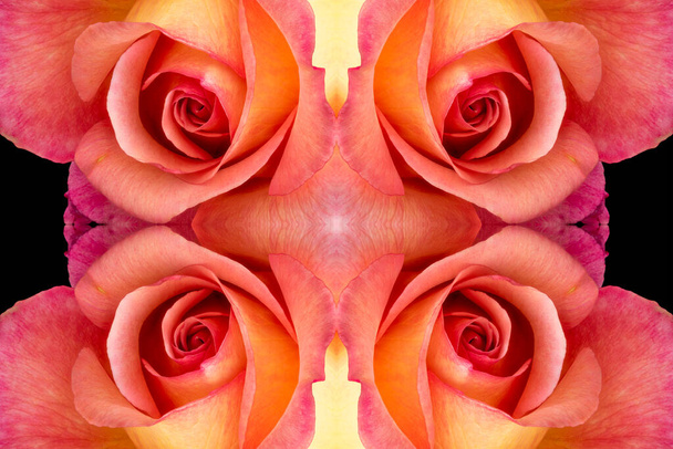 Ruusunkukkien surrealistinen kollaasi mustalla pohjalla - Valokuva, kuva