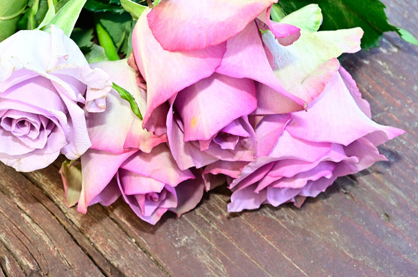 красивые розовые цветы на сером фоне, летняя концепция, вид сверху    - Фото, изображение