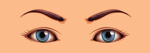 Human close up eyes area illustration - Vektor, obrázek
