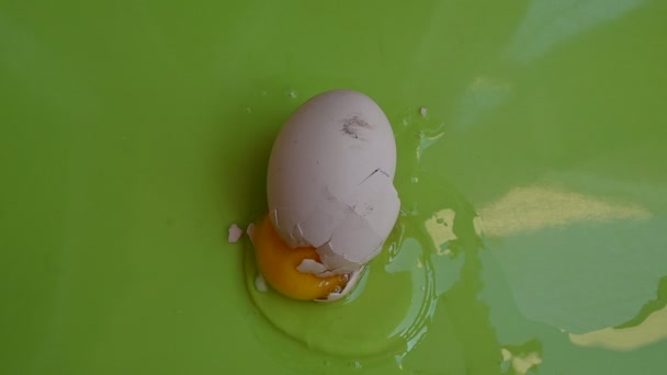 cracked chicken egg on green background, close view  - Footage, Video