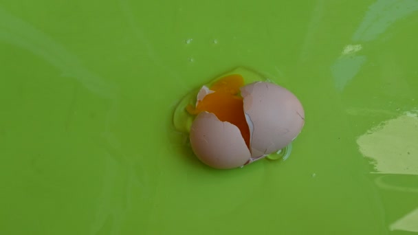 pęknięte jajko kurczaka na zielonym tle, widok z bliska  - Materiał filmowy, wideo