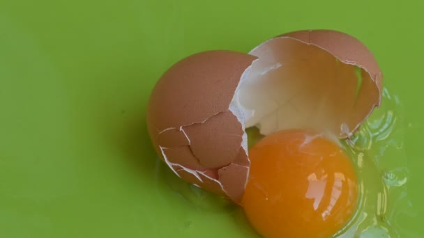 repedt csirke tojás zöld háttér, közelről  - Felvétel, videó