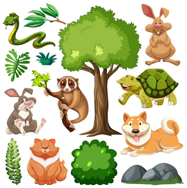 Set von niedlichen wilden Tieren und Natur Illustration - Vektor, Bild