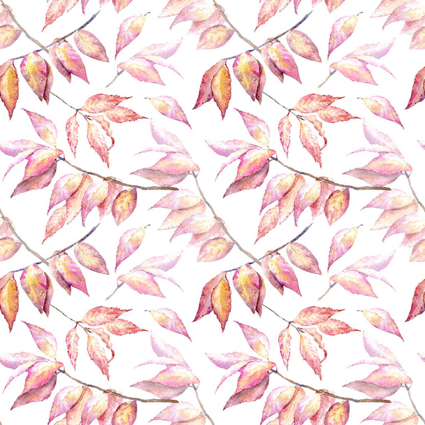 Floral seamless pattern of a autumn leaves.Euonymus .Image for fabric, paper and other printing and web projects.Watercolor hand drawn illustration.White background. - Photo, Image