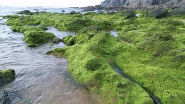 Vlny narážející na skály s špínou na pláži Bakio ve Vizcaya - Záběry, video