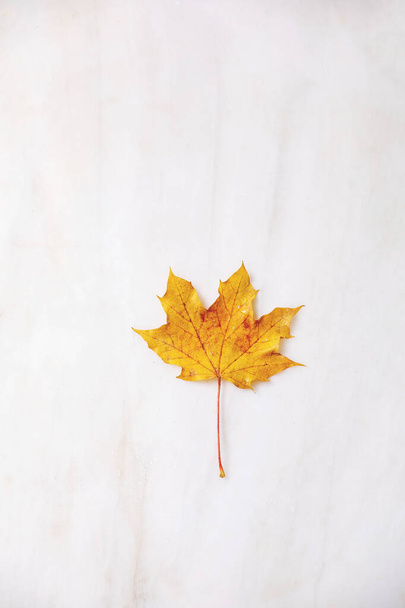 Single yellow autumn maple leaf over white marble background. Flat lay. Fall creative background. - Фото, изображение